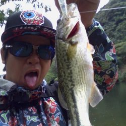 ヒットルアーはドッグXです！